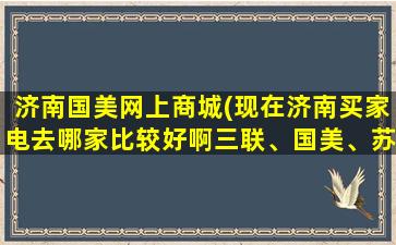济南国美网上商城(现在济南买家电去哪家比较好啊三联、国美、苏宁 )